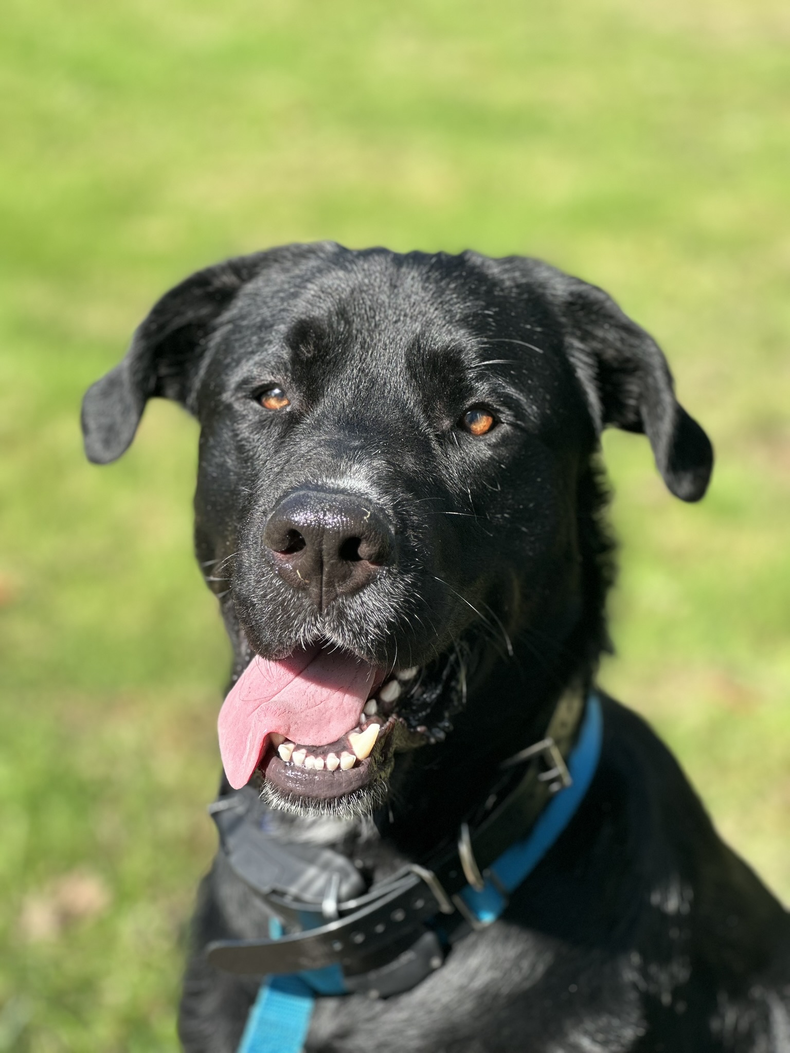 Sam